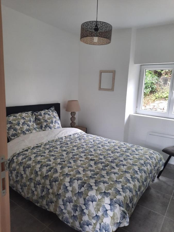 Chez Line Et Pierre: Appartement Spacieux, Lumineux Et Equipe 瑟鲁堡 外观 照片